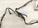 2007 Scion Tc Scion Front Passenger Door Wire Harness 82151 21140 Replacement 2007 Scion Tc Scion Front Passenger Door Wire Harness 82151 21140 Replacement thumbnail