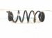2024 Honda Accord Strut / / Shock Absorber Rear Passenger Coil Spring Sport 52441 30A A51 Replacement 2024 Honda Accord Strut / / Shock Absorber Rear Passenger Coil Spring Sport 52441 30A A51 Replacement thumbnail
