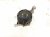 2021 Ford Ranger Alternator / Generator HB3Z 10346 A Replacement 2021 Ford Ranger Alternator / Generator HB3Z 10346 A Replacement thumbnail