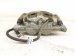 2021 Ford Ranger Front Passenger Brake Caliper KB3Z 2B120 A Replacement 2021 Ford Ranger Front Passenger Brake Caliper KB3Z 2B120 A Replacement thumbnail