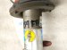 2021 Ford Ranger Front Passenger Strut Absorber + Spring KB3Z 18124 C Replacement 2021 Ford Ranger Front Passenger Strut Absorber + Spring KB3Z 18124 C Replacement thumbnail