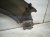 2021 Ford Ranger Front Driver Fender Grey *dinged? LB3Z 16006 A Replacement 2021 Ford Ranger Front Driver Fender Grey *dinged? LB3Z 16006 A Replacement thumbnail