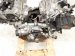 2023 Honda Pilot Long Block Engine / Motor = 33k Mi 10002 6FB A00 Replacement 2023 Honda Pilot Long Block Engine / Motor = 33k Mi 10002 6FB A00 Replacement thumbnail