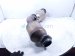 2023 Toyota Tundra Driver Catalytic Converter 3.5tt 4x2 17500 F4020 Replacement 2023 Toyota Tundra Driver Catalytic Converter 3.5tt 4x2 17500 F4020 Replacement thumbnail