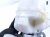 2020 Land Rover Range Rover Sport Brake Master Cylinder W/reservoir LR099178 Replacement 2020 Land Rover Range Rover Sport Brake Master Cylinder W/reservoir LR099178 Replacement thumbnail