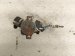 2016 Honda Accord Gas / Fuel Pump ( Engine Mtd ) 2.4l 16790 5LA A01 Replacement 2016 Honda Accord Gas / Fuel Pump ( Engine Mtd ) 2.4l 16790 5LA A01 Replacement thumbnail