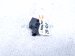 Sold 2020 Land Rover Range Rover Sport Front Driver Airbag Impact Sensor JPLA 14B006 DA Replacement Sold 2020 Land Rover Range Rover Sport Front Driver Airbag Impact Sensor JPLA 14B006 DA Replacement thumbnail