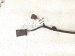 2020 Land Rover Range Rover Sport Mhev Water Pump Wire Harness 3.0l LR064173 Replacement 2020 Land Rover Range Rover Sport Mhev Water Pump Wire Harness 3.0l LR064173 Replacement thumbnail