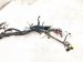 2021 Lexus Is300 Dash Instrument Wire Harness 86101 24800 Replacement 2021 Lexus Is300 Dash Instrument Wire Harness 86101 24800 Replacement thumbnail
