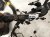2020 Land Rover Range Rover Sport Engine Wiring Harness 3.0l Awd LR171970 Replacement 2020 Land Rover Range Rover Sport Engine Wiring Harness 3.0l Awd LR171970 Replacement thumbnail
