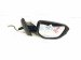 2019 Honda Civic Rear Passenger Side View Mirror White 76201 TBA A11YA Replacement 2019 Honda Civic Rear Passenger Side View Mirror White 76201 TBA A11YA Replacement thumbnail