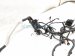2011 Infiniti G37 Engine Room Wire Harness 3.7l Awd 24012 1NL0A Replacement 2011 Infiniti G37 Engine Room Wire Harness 3.7l Awd 24012 1NL0A Replacement thumbnail