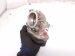 2024 Volkswagen Taos Throttle Body 04E 133 062 T Replacement 2024 Volkswagen Taos Throttle Body 04E 133 062 T Replacement thumbnail