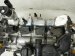2024 Volkswagen Taos Long Block Engine / Motor = 59k Mi 05E 100 031 Q Replacement 2024 Volkswagen Taos Long Block Engine / Motor = 59k Mi 05E 100 031 Q Replacement thumbnail
