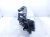 2024 Volkswagen Taos Headlight Driver Headlamp / Light 2GJ 941 035 Replacement 2024 Volkswagen Taos Headlight Driver Headlamp / Light 2GJ 941 035 Replacement thumbnail