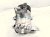 2022 Subaru WRX Air + Clutch Ac Pump / Compressor 73111VC010 Replacement 2022 Subaru WRX Air + Clutch Ac Pump / Compressor 73111VC010 Replacement thumbnail