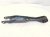 2022 Subaru WRX Rear Passenger Trailing Lower Control Arm 20250FL001 Replacement 2022 Subaru WRX Rear Passenger Trailing Lower Control Arm 20250FL001 Replacement thumbnail