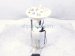 2022 Subaru WRX Gas / Fuel Pump (tank Mounted) 42021VC010 Replacement 2022 Subaru WRX Gas / Fuel Pump (tank Mounted) 42021VC010 Replacement thumbnail