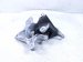 2016 Honda CR V Engine/motor Transmission Mount 2.4l Awd 50850 T1W A11 Replacement 2016 Honda CR V Engine/motor Transmission Mount 2.4l Awd 50850 T1W A11 Replacement thumbnail