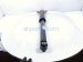 2024 Audi Q5 Audi Strut / Spring / Rear Passenger Shock Absorber 80A 513 035 N Replacement 2024 Audi Q5 Audi Strut / Spring / Rear Passenger Shock Absorber 80A 513 035 N Replacement thumbnail