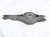 2019 Lexus Es300h Rear Passenger Spring Seat Lower Control Arm 48730 33160 Replacement 2019 Lexus Es300h Rear Passenger Spring Seat Lower Control Arm 48730 33160 Replacement thumbnail