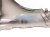 2019 Lexus Es300h Front Passenger Fender Blue 53801 33230 Replacement 2019 Lexus Es300h Front Passenger Fender Blue 53801 33230 Replacement thumbnail