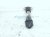 2022 Kia Telluride Strut / Spring / Rear Driver Shock Absorber 55307 S9050 Replacement 2022 Kia Telluride Strut / Spring / Rear Driver Shock Absorber 55307 S9050 Replacement thumbnail