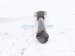 2022 Kia Telluride Strut / Spring / Rear Passenger Shock Absorber 55307 S9050 Replacement 2022 Kia Telluride Strut / Spring / Rear Passenger Shock Absorber 55307 S9050 Replacement thumbnail