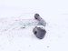 2022 Kia Telluride Rear Driver Upper Control Arm 55120 S8050 Replacement 2022 Kia Telluride Rear Driver Upper Control Arm 55120 S8050 Replacement thumbnail