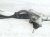 2023 Nissan Pathfinder And / Gear Box Power Steering Rack & Pinion 49001 6SA0C Replacement 2023 Nissan Pathfinder And / Gear Box Power Steering Rack & Pinion 49001 6SA0C Replacement thumbnail