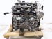2023 Nissan Pathfinder Long Block Engine / Motor = 55k Mi 10102 6TA0A Replacement 2023 Nissan Pathfinder Long Block Engine / Motor = 55k Mi 10102 6TA0A Replacement thumbnail