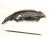 2023 Nissan Pathfinder Headlight Driver Headlamp / Light 26060 6TA7B Replacement 2023 Nissan Pathfinder Headlight Driver Headlamp / Light 26060 6TA7B Replacement thumbnail