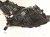 2023 Nissan Pathfinder Headlight Driver Headlamp / Light 26060 6TA7B Replacement 2023 Nissan Pathfinder Headlight Driver Headlamp / Light 26060 6TA7B Replacement thumbnail