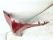 2023 Nissan Pathfinder Front Driver Fender Red 63101 6TA0A Replacement 2023 Nissan Pathfinder Front Driver Fender Red 63101 6TA0A Replacement thumbnail