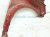 2023 Nissan Pathfinder Front Driver Fender Red 63101 6TA0A Replacement 2023 Nissan Pathfinder Front Driver Fender Red 63101 6TA0A Replacement thumbnail