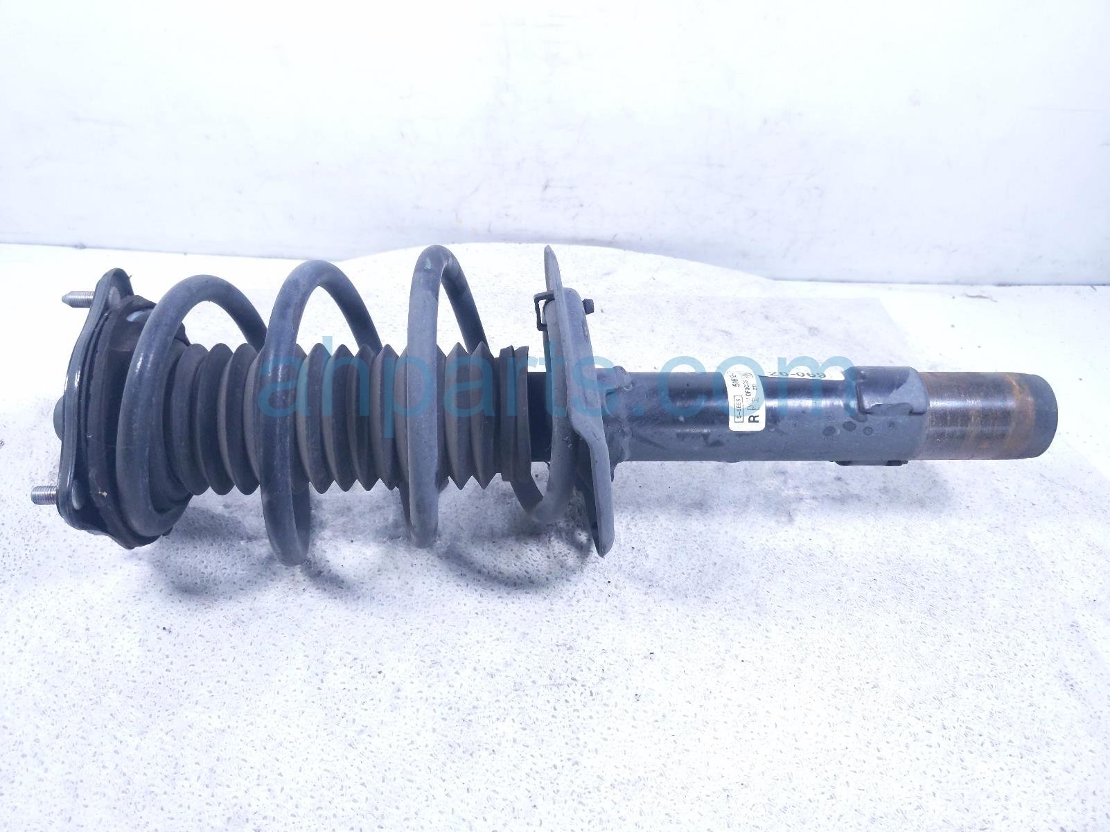 Honda FR/RH STRUT + SPRING