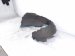 2021 Ford Broncospt Front Driver Inner Fender Liner M1PZ 16103 C Replacement 2021 Ford Broncospt Front Driver Inner Fender Liner M1PZ 16103 C Replacement thumbnail