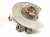 2021 Tesla Model Y Axle Stub Rear Passenger Spindle Knuckle Hub Awd 1188416 00 F Replacement 2021 Tesla Model Y Axle Stub Rear Passenger Spindle Knuckle Hub Awd 1188416 00 F Replacement thumbnail