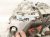 2021 Tesla Model Y Engine / Rear Electric Motor = 121k Mi 1587780 00 C Replacement 2021 Tesla Model Y Engine / Rear Electric Motor = 121k Mi 1587780 00 C Replacement thumbnail