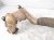 2024 Volkswagen Taos Exhaust Catalytic Converter W/pipe 5QM 254 501 L Replacement 2024 Volkswagen Taos Exhaust Catalytic Converter W/pipe 5QM 254 501 L Replacement thumbnail