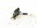 2015 Chrysler 300 Hood Lock / Latch Assy 55113787AB Replacement 2015 Chrysler 300 Hood Lock / Latch Assy 55113787AB Replacement thumbnail