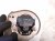 2024 Volkswagen Taos Auxiliary Water Pump 1.5t 5C0 965 561 Replacement 2024 Volkswagen Taos Auxiliary Water Pump 1.5t 5C0 965 561 Replacement thumbnail