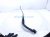 2018 Honda Accord Passenger Windshield Wiper Arm 76610 TVA A01 Replacement 2018 Honda Accord Passenger Windshield Wiper Arm 76610 TVA A01 Replacement thumbnail