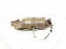 2019 Honda Civic Catalytic Converter 1.5t Si 18150 5AA A00 Replacement 2019 Honda Civic Catalytic Converter 1.5t Si 18150 5AA A00 Replacement thumbnail