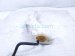 2022 Subaru WRX Coolant Overflow Reservoir Tank 45151FA001 Replacement 2022 Subaru WRX Coolant Overflow Reservoir Tank 45151FA001 Replacement thumbnail