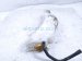 2022 Subaru WRX Coolant Overflow Reservoir Tank 45151FA001 Replacement 2022 Subaru WRX Coolant Overflow Reservoir Tank 45151FA001 Replacement thumbnail