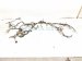 2001 Lexus Ls430 Dashboard Instrument Wire Harness 82141 5AD60 Replacement 2001 Lexus Ls430 Dashboard Instrument Wire Harness 82141 5AD60 Replacement thumbnail
