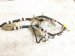 2001 Lexus Ls430 Dashboard Instrument Wire Harness 82141 5AD60 Replacement 2001 Lexus Ls430 Dashboard Instrument Wire Harness 82141 5AD60 Replacement thumbnail