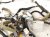 2001 Lexus Ls430 Dashboard Instrument Wire Harness 82141 5AD60 Replacement 2001 Lexus Ls430 Dashboard Instrument Wire Harness 82141 5AD60 Replacement thumbnail