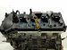 2020 Ford Mustang Long Block Engine / Motor = 79k Mi JR3Z 6010 B Replacement 2020 Ford Mustang Long Block Engine / Motor = 79k Mi JR3Z 6010 B Replacement thumbnail